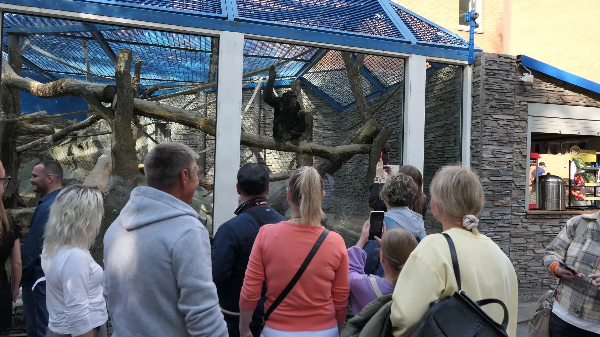 Экскурсии в новые вольеры для медведей проведет Новосибирский зоопарк
