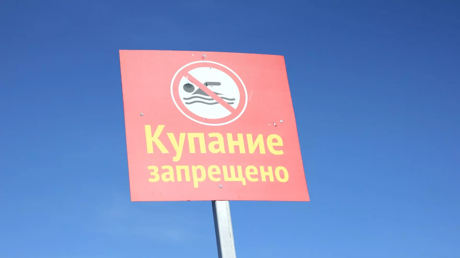 Два смельчака, открывшие купальный сезон в Новосибирске, попали на видео