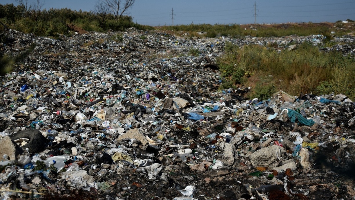 Владимира Путина просят разобраться с "мусорной концессией" в Новосибирской области