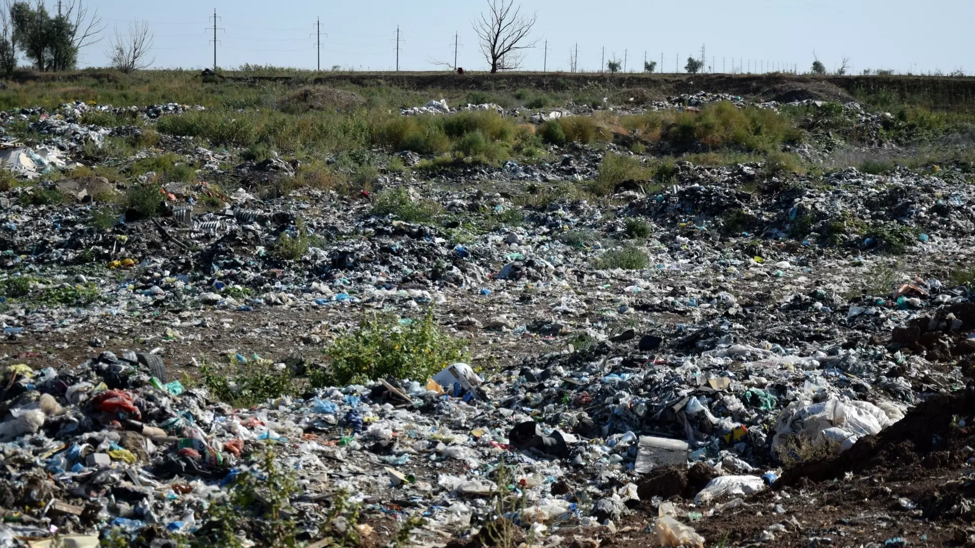 В Новосибирской области построят мусорный полигон почти за 200 млн рублей