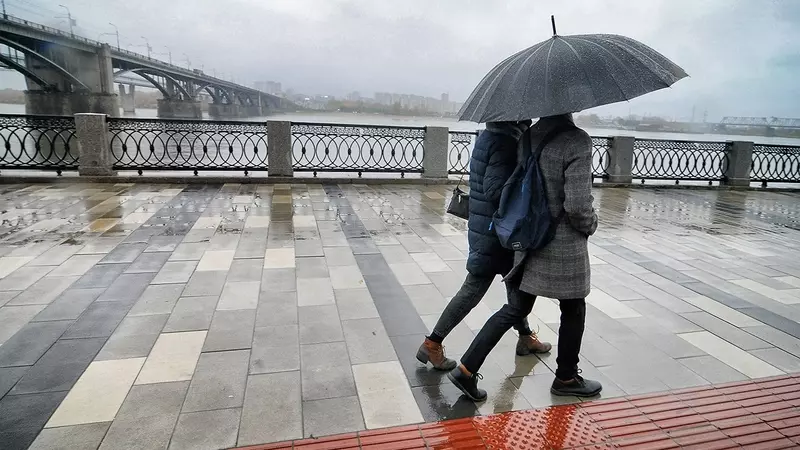 Заморозки до -1 ℃ ударят по Новосибирску — неделю будут лить дожди