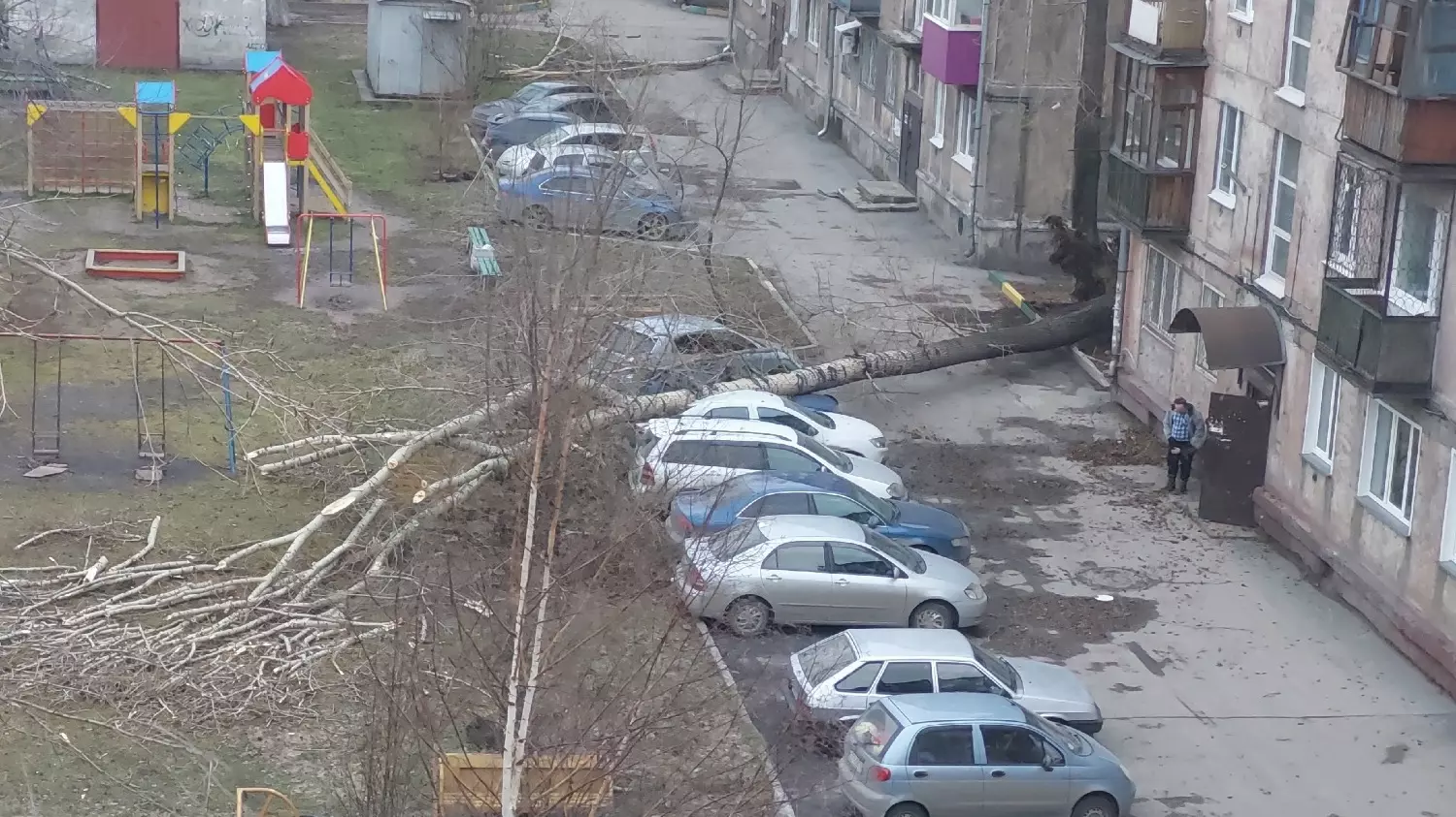 Дерево упало на автомобиль в Новокузнецке.