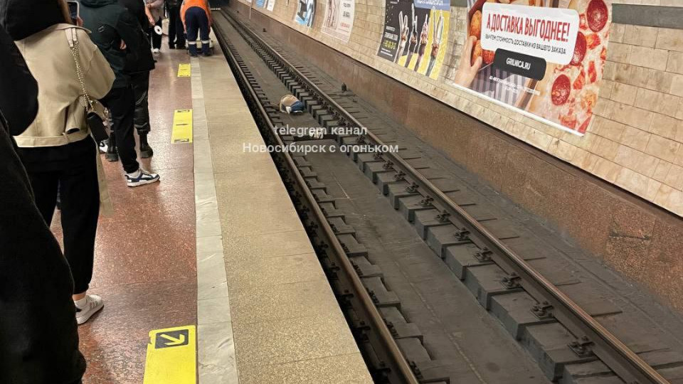 Инцидент произошел не в час пик, поэтому даже не было перерыва в движении поездов метро