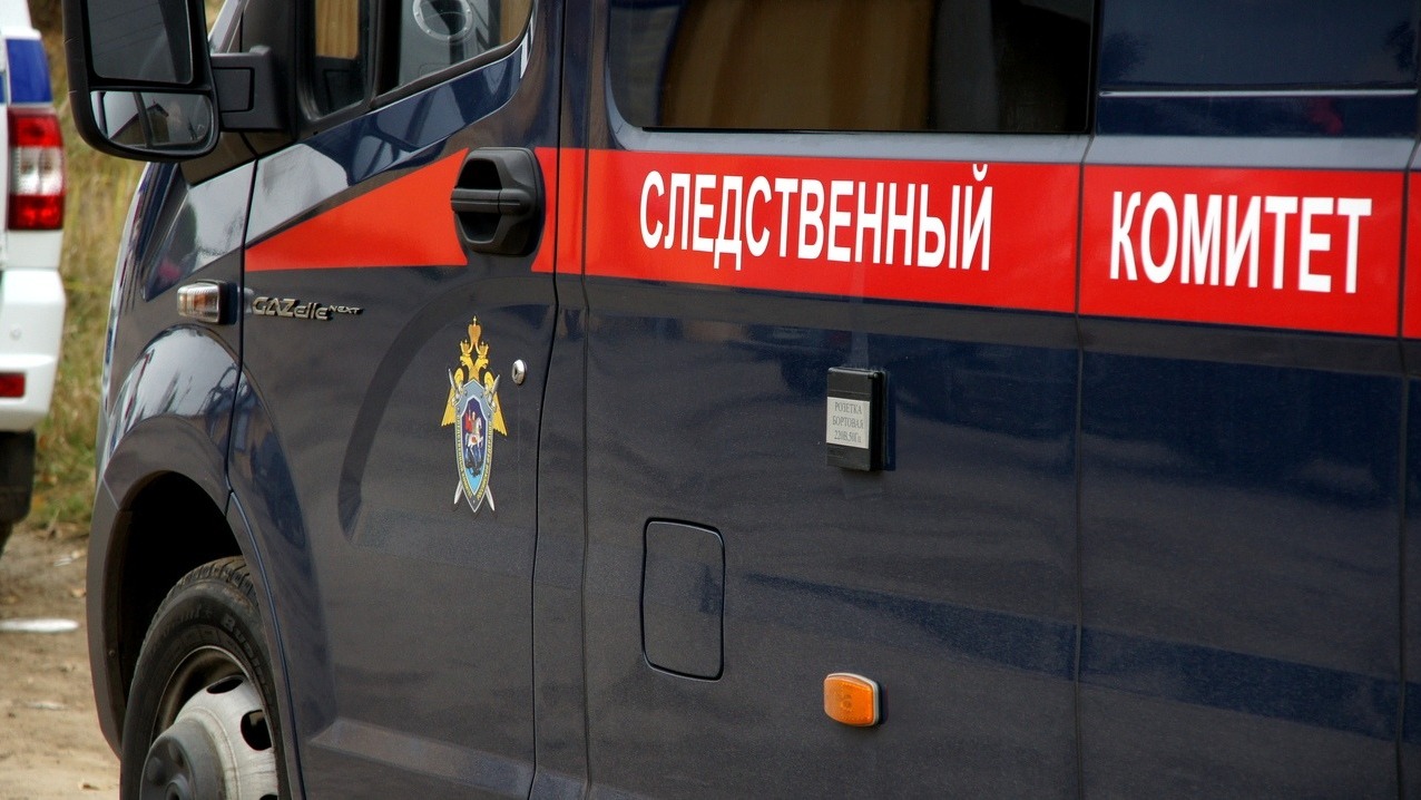 Стали известны подробности гибели 5-летней девочки на самокате в Новосибирске