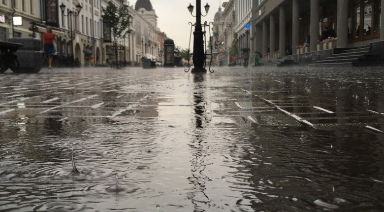 Дождь и похолодание ожидается в Новосибирске 2 мая