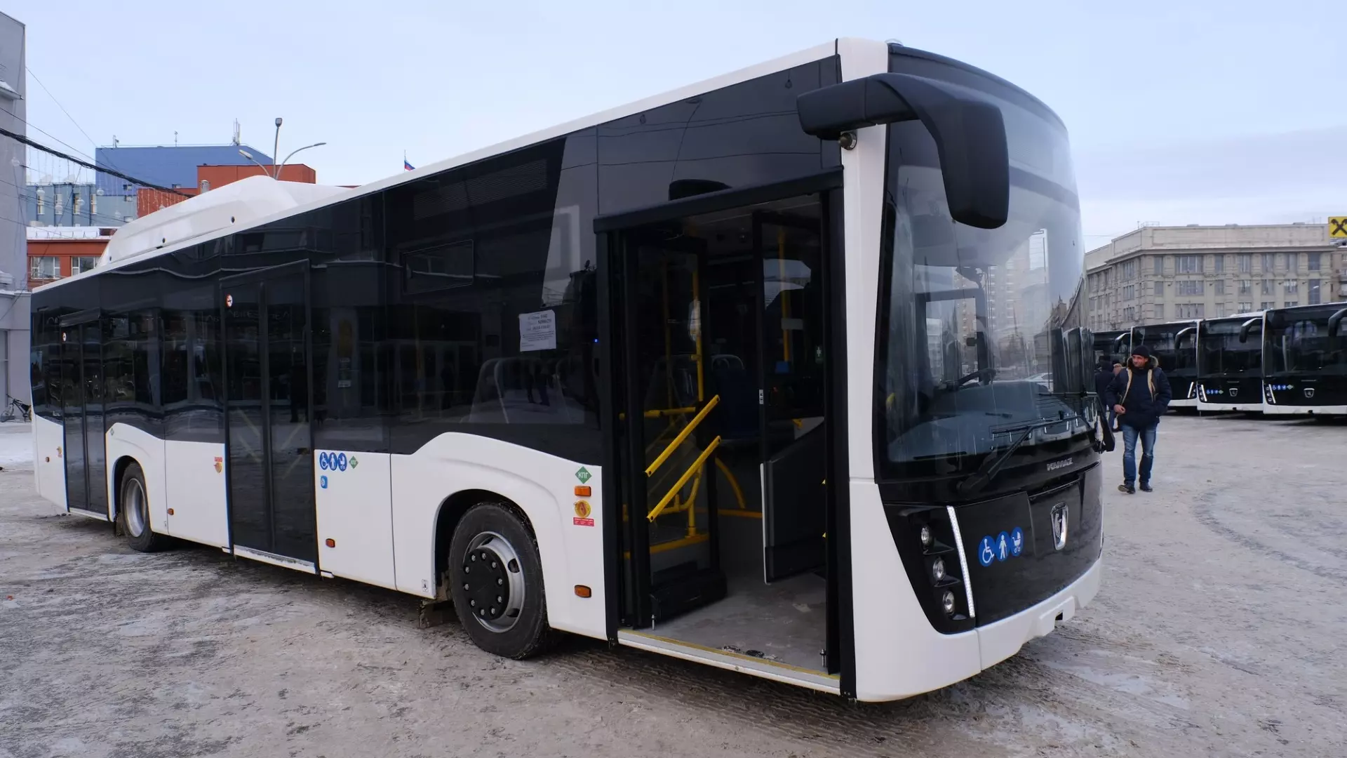 Новые автобусы приходят как в Новосибирск, так и в районные центры