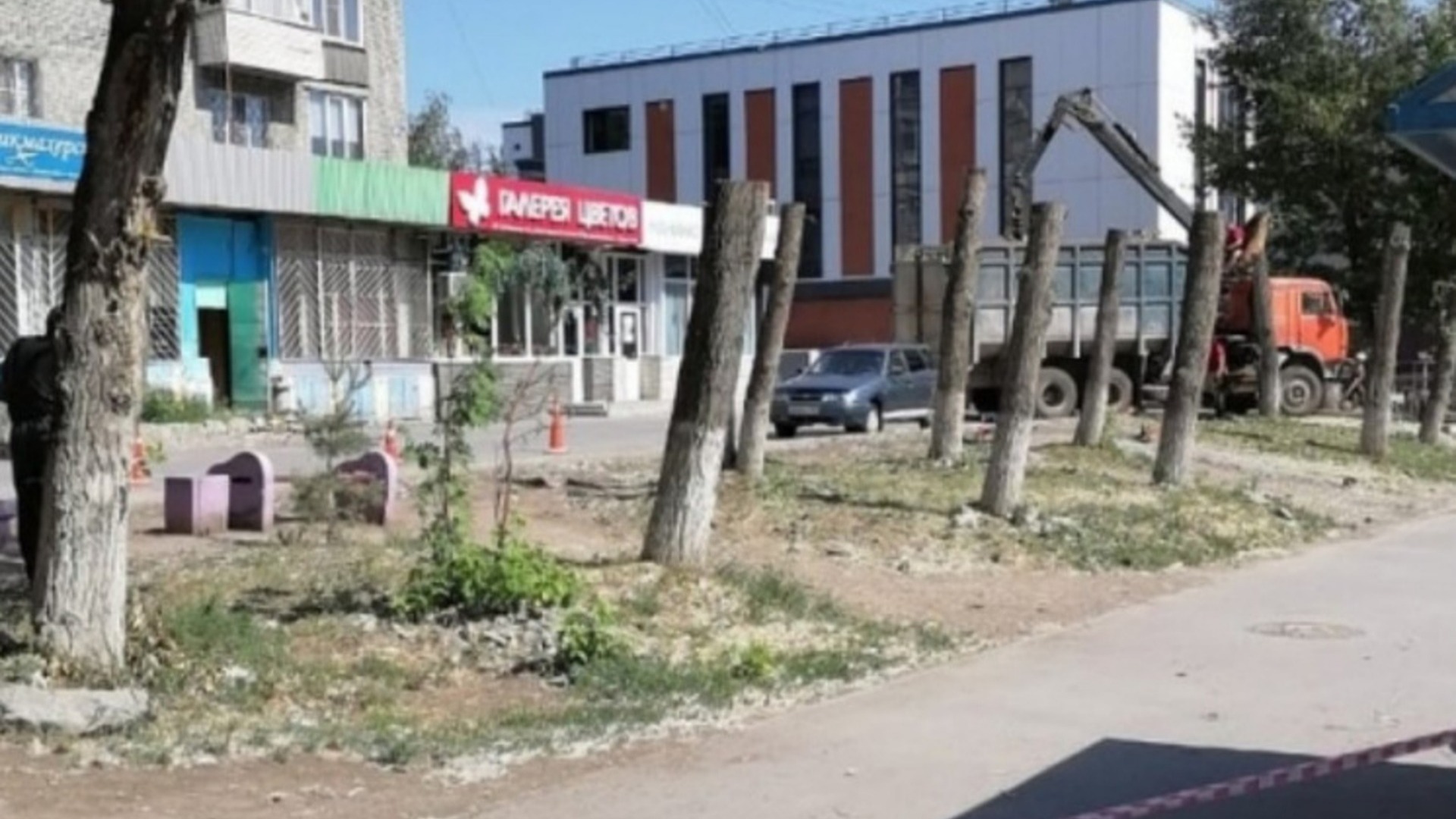 Жители улицы Бориса Богаткова пожаловались на вырубку деревьев.