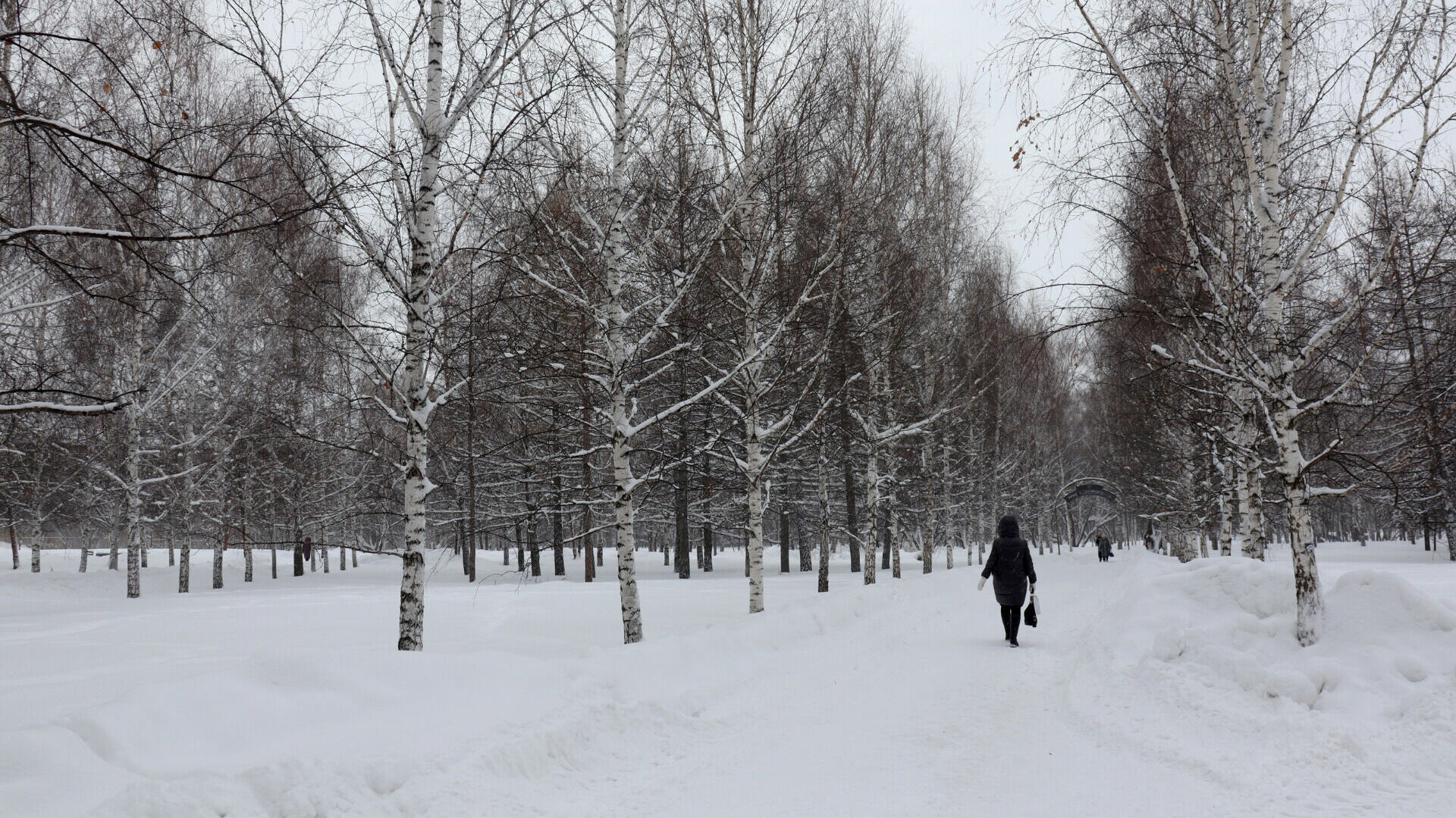 Зима не планирует покидать Новосибирскую область