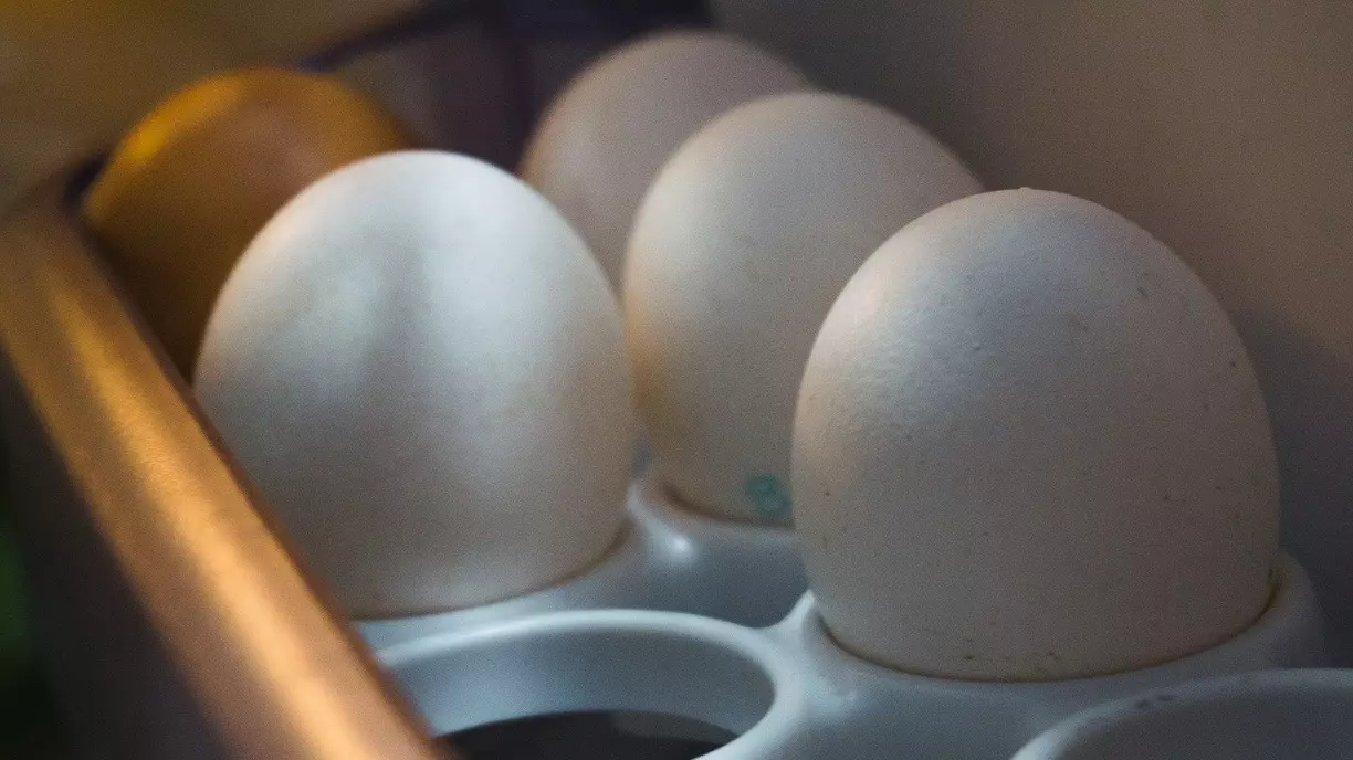 Что приготовить вкусное из яиц