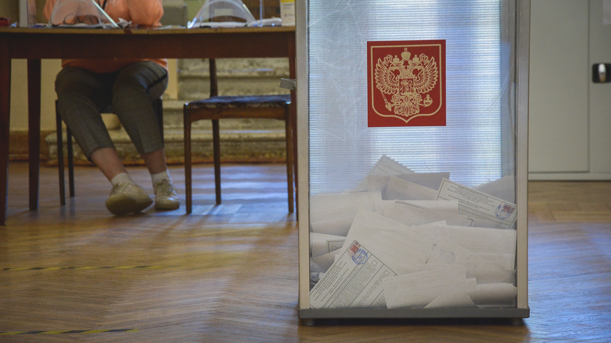 Единый день голосования в Новосибирской области 2022: когда и кого выбираем