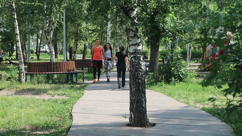 Мэрия Новосибирска предложила создать парк вокруг котлована на Горском