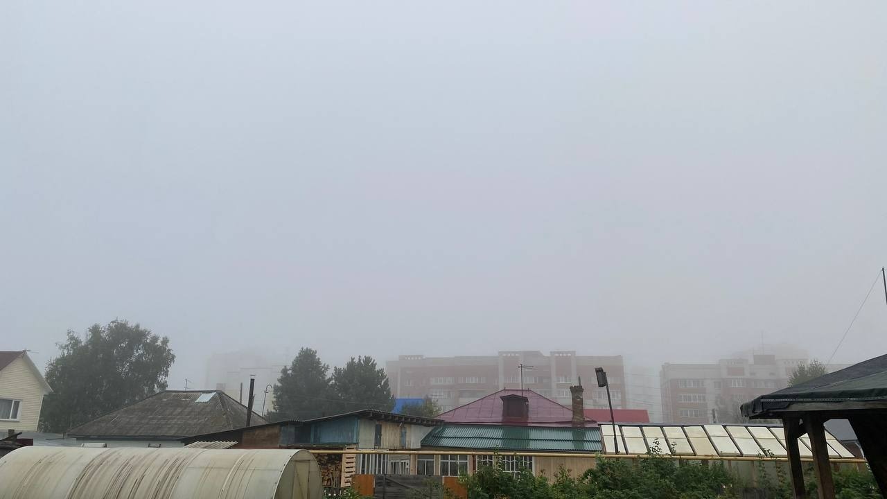 Туман в Новосибирске и Бердске утром 22 августа 2023 года.