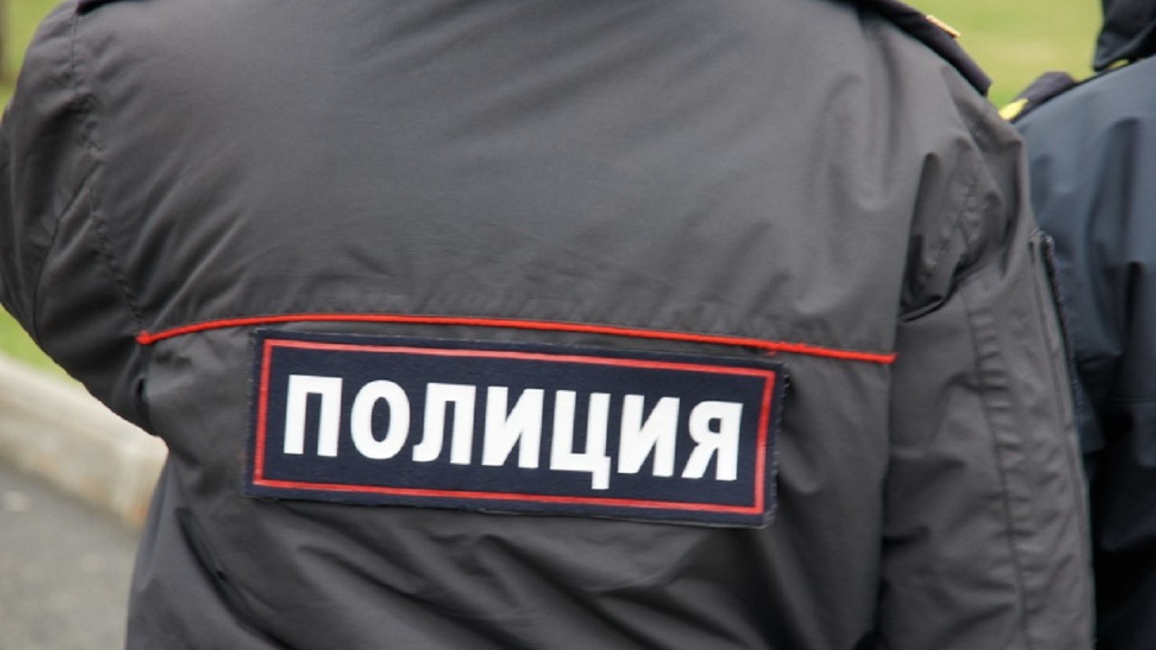 Под Новосибирском отец с сыном спустили овчарку на полицейских и попали под суд