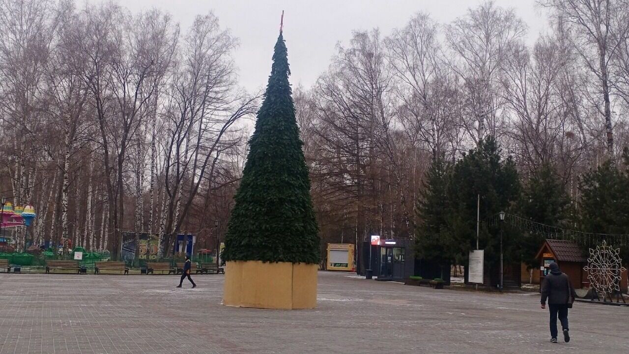 Первую новогоднюю елку установили в Новосибирске в парке «Березовая роща»