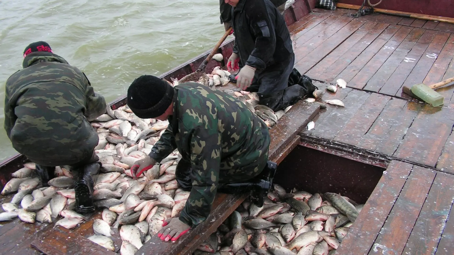 На 87,5 тонн рыбы выловили больше в 2023 году, чем за аналогичный период 2022 года.