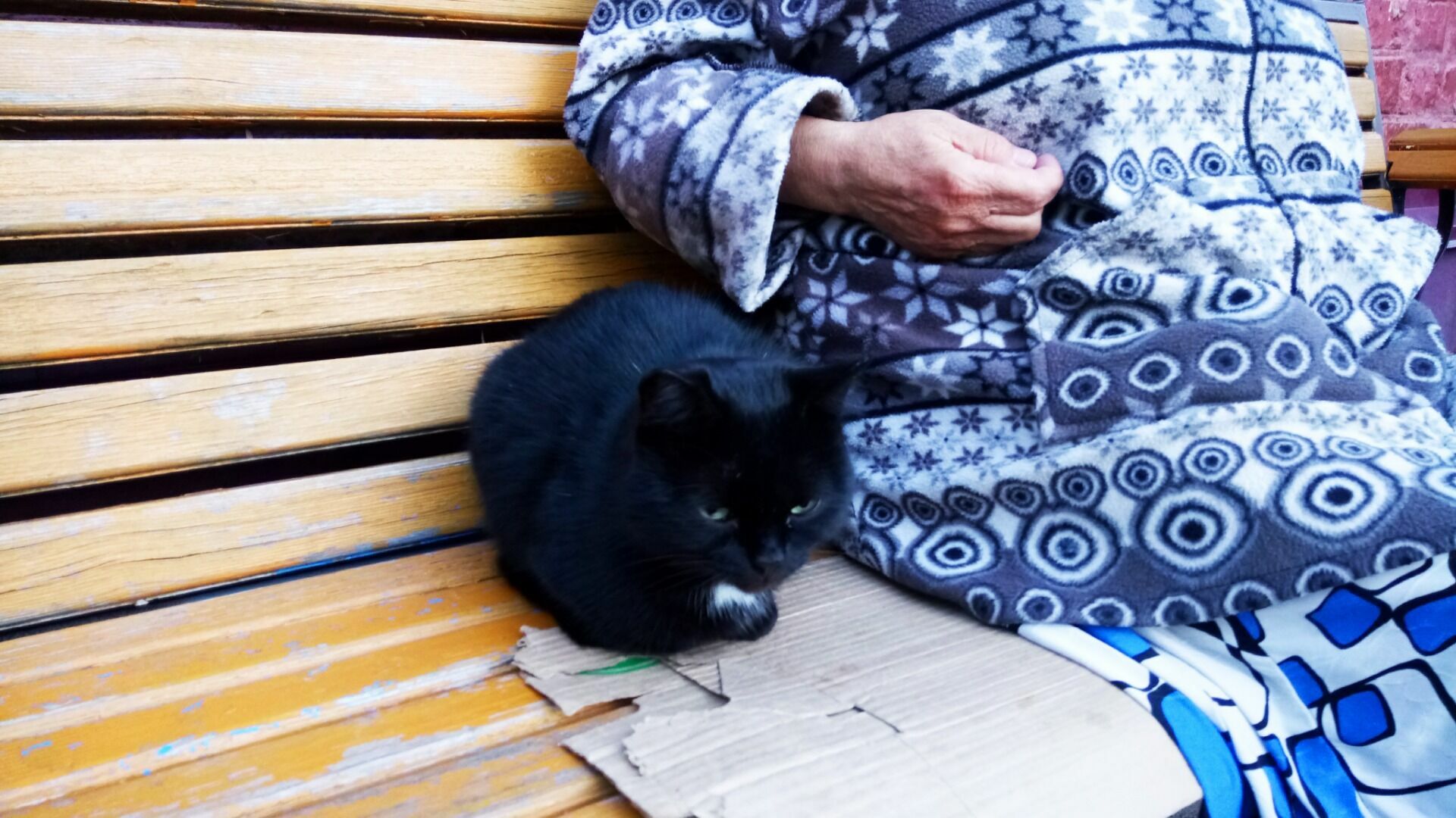 Незнакомец приставал к бабушке в Новосибирске