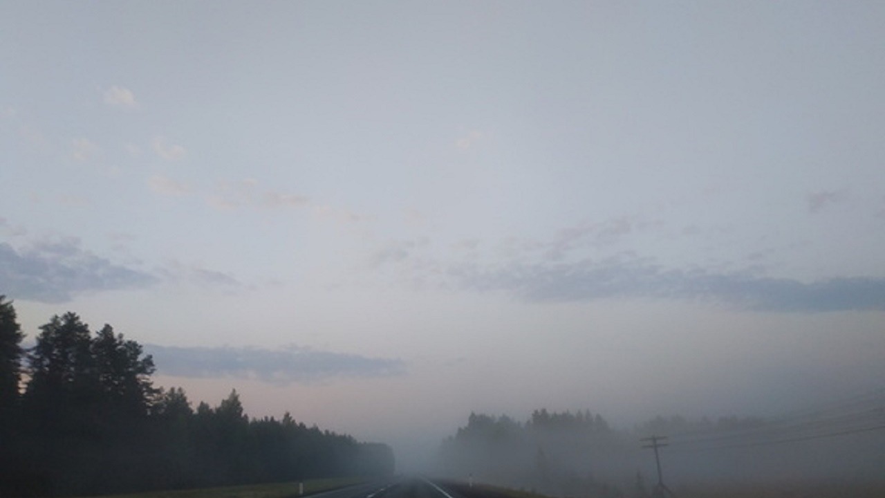 Густые туманы накрывают трассы Новосибирской и Омской областей
