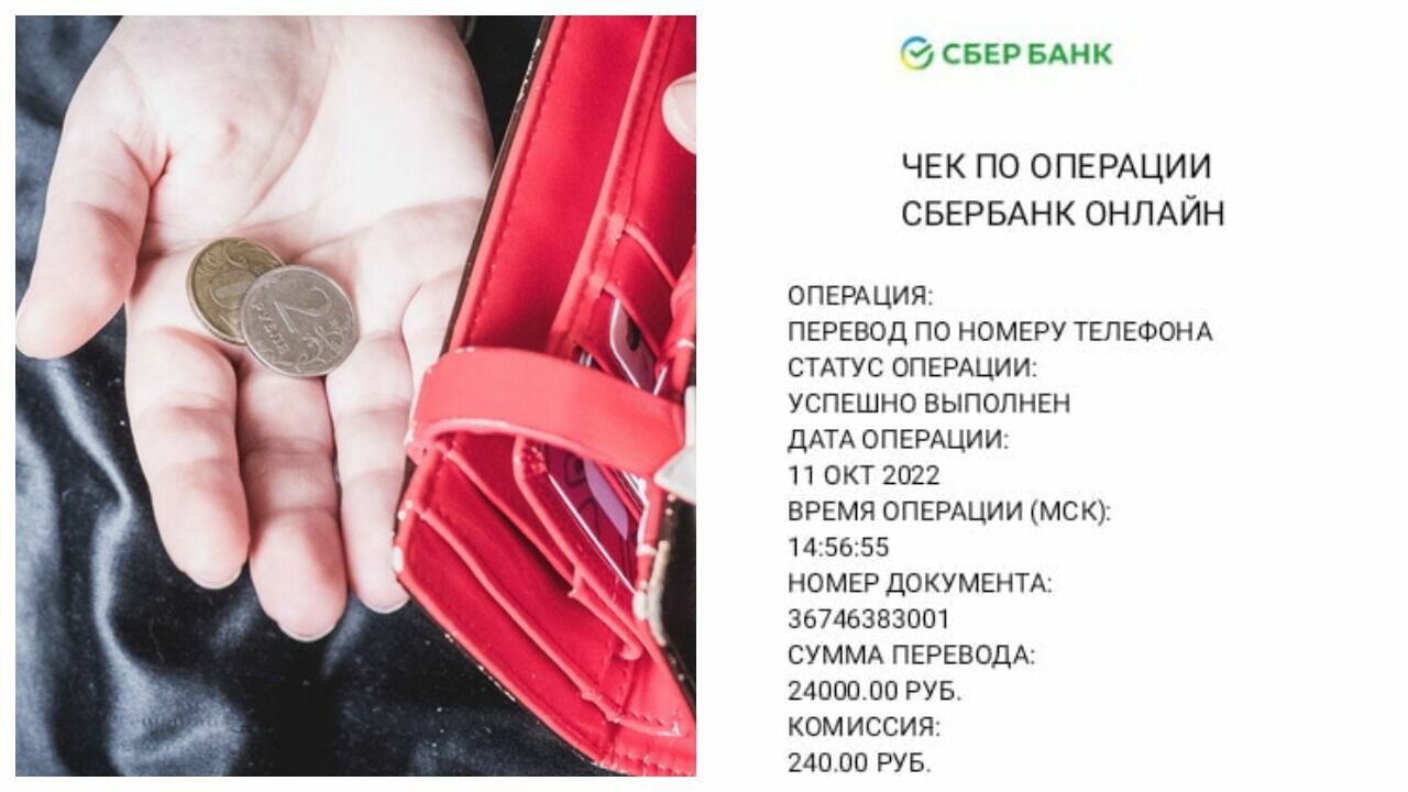 В Новосибирске аферисты оставили пожилую женщину без пенсии и с долгом в 1,5 млн