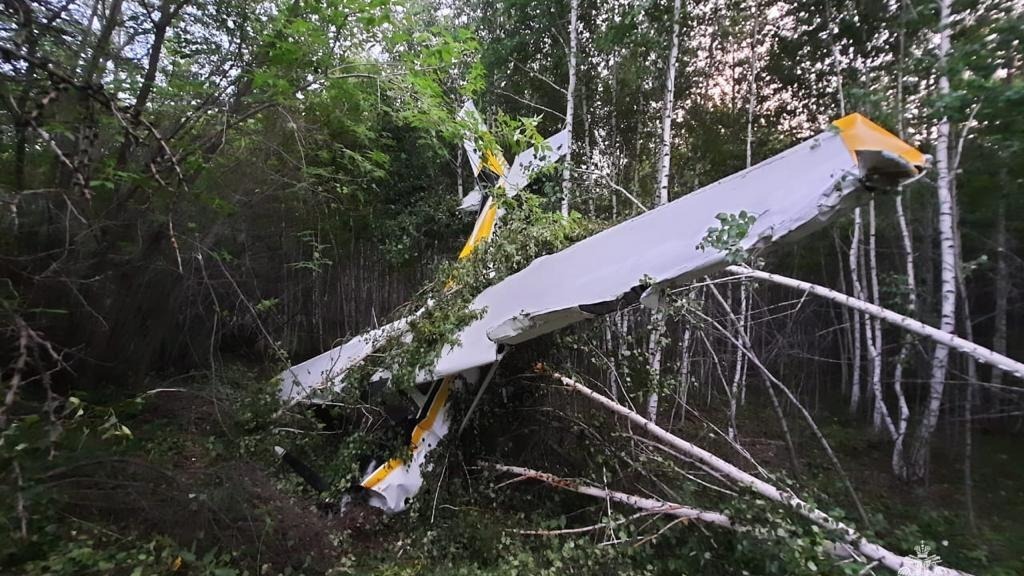 В Новосибирске частный самолет жестко сел в лесу