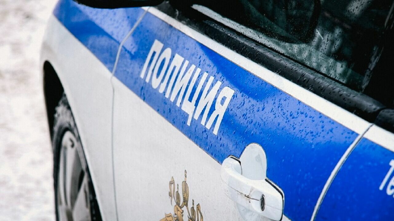 Полиция поймала двух мужчин, похитивших деньги у МФО в Новосибирске