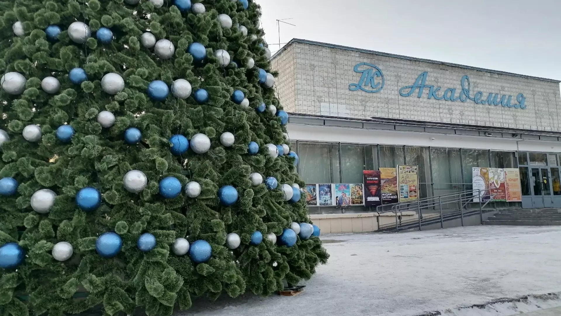 Первую новогоднюю елку поставили в Новосибирске