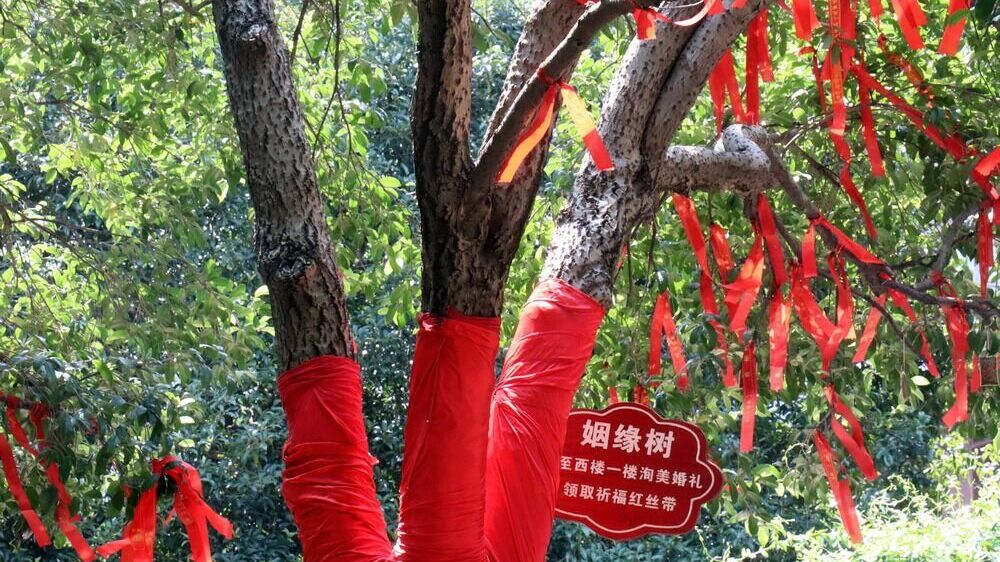 Главный цвет новогоднего праздника в Китае - красный