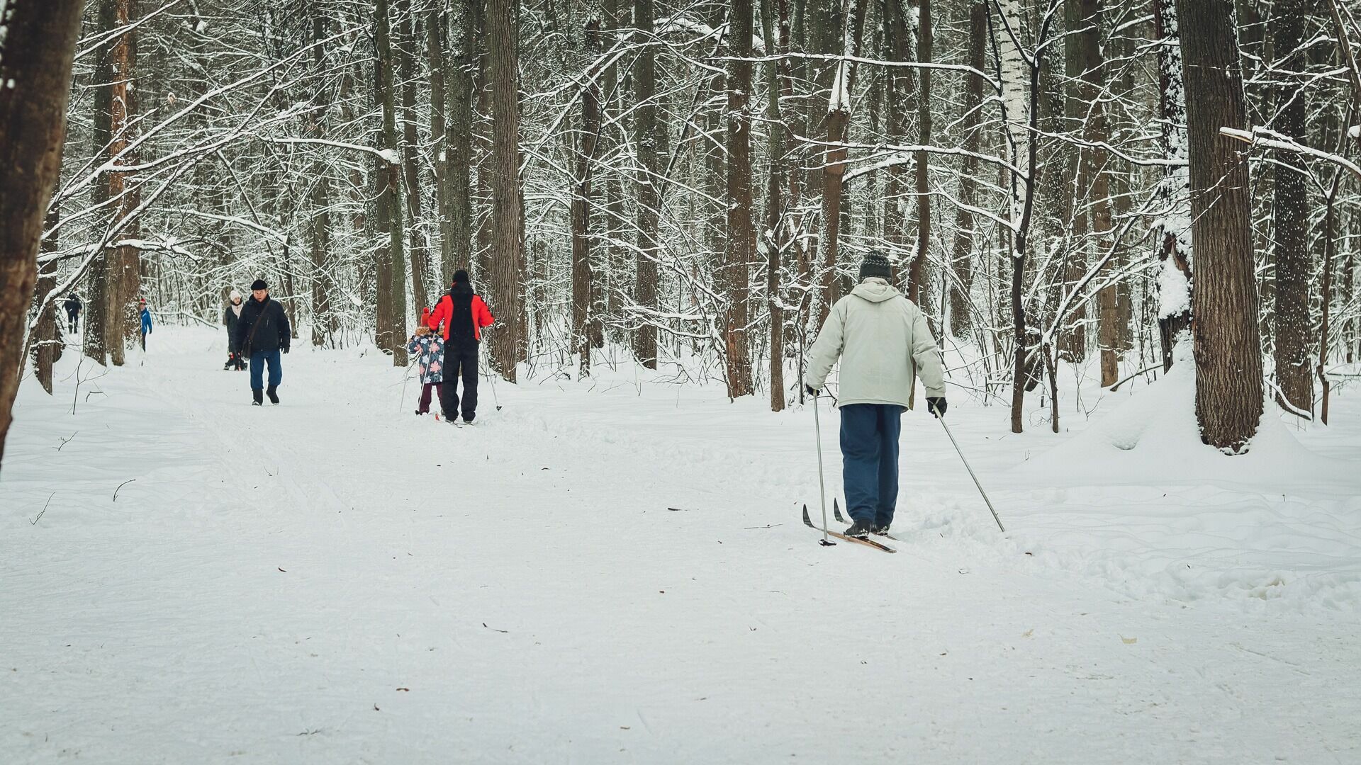 Юные туристы пропали на лыжах в лесу под Новосибирском