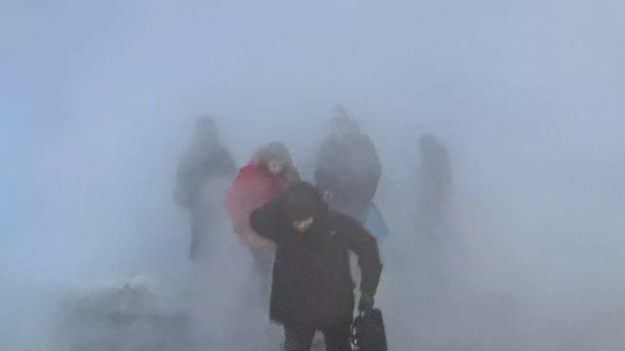 Новосибирцы словно ежики в тумане