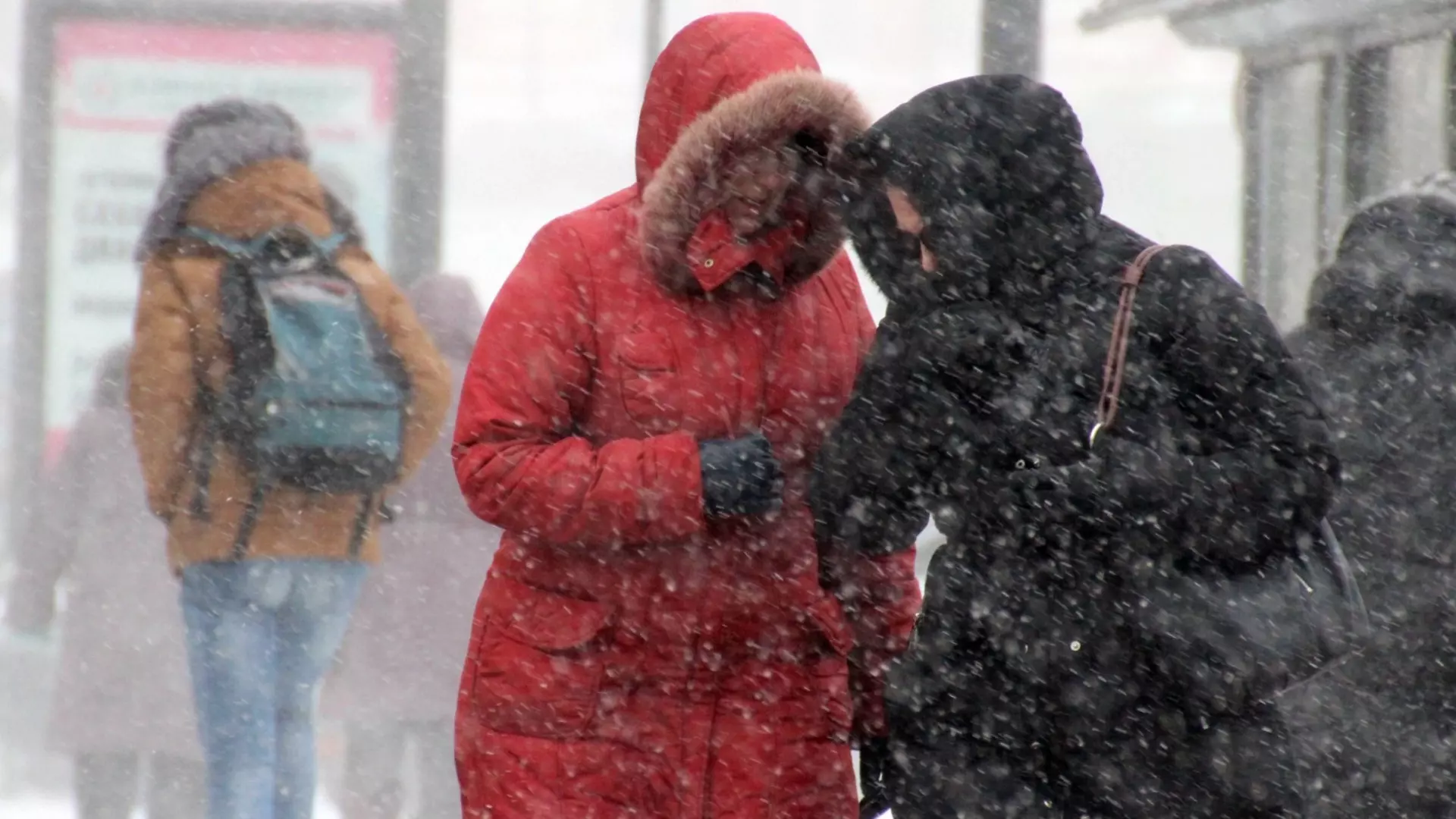 Новосибирцев предупредили о ветре до 25 м/с и снежных заносах 9 и 10 февраля