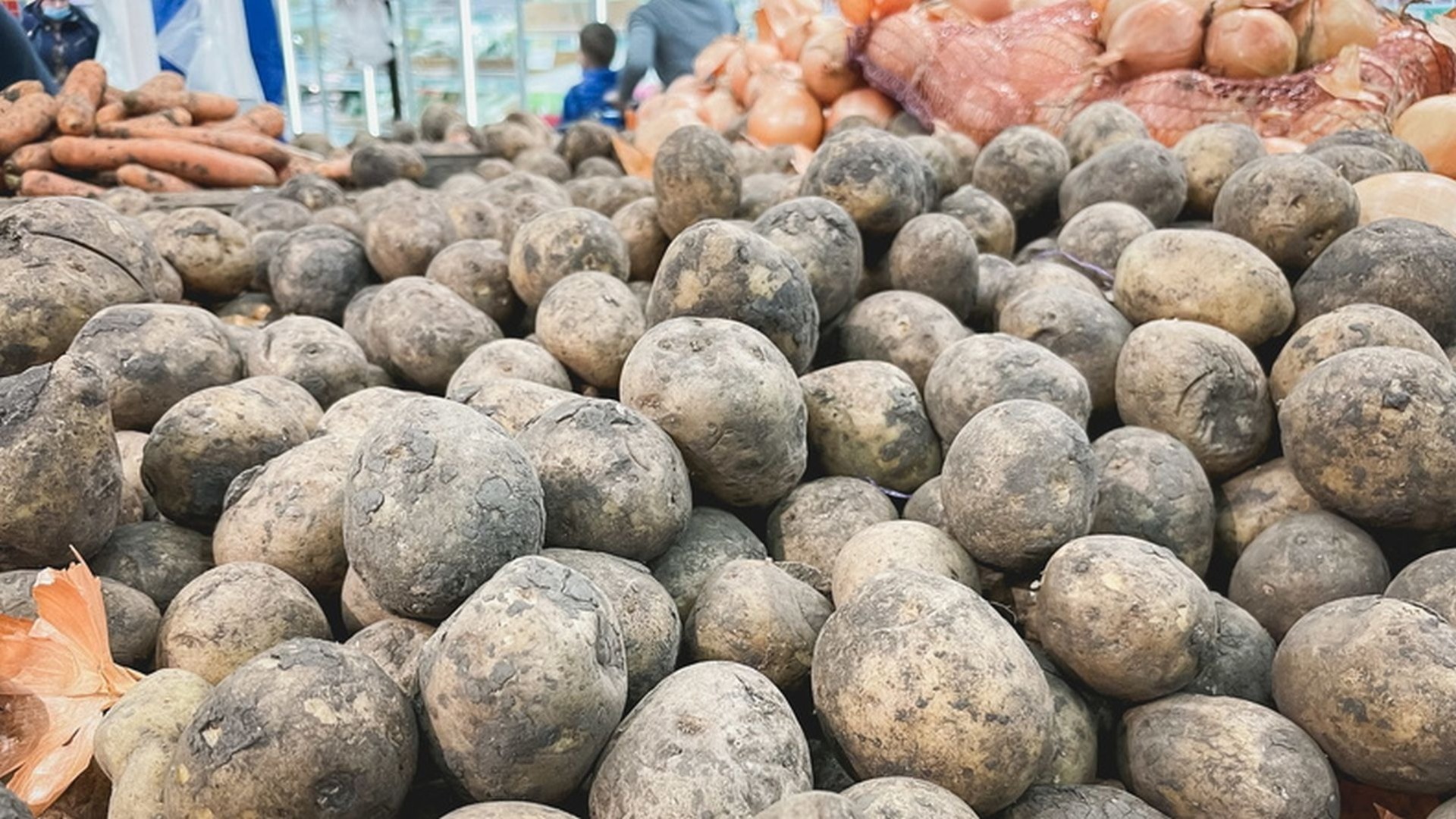 Взлета цен на картошку не ожидается