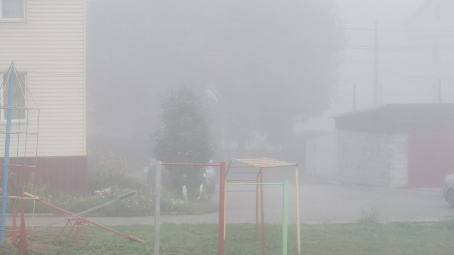 Туман в Новосибирске и области