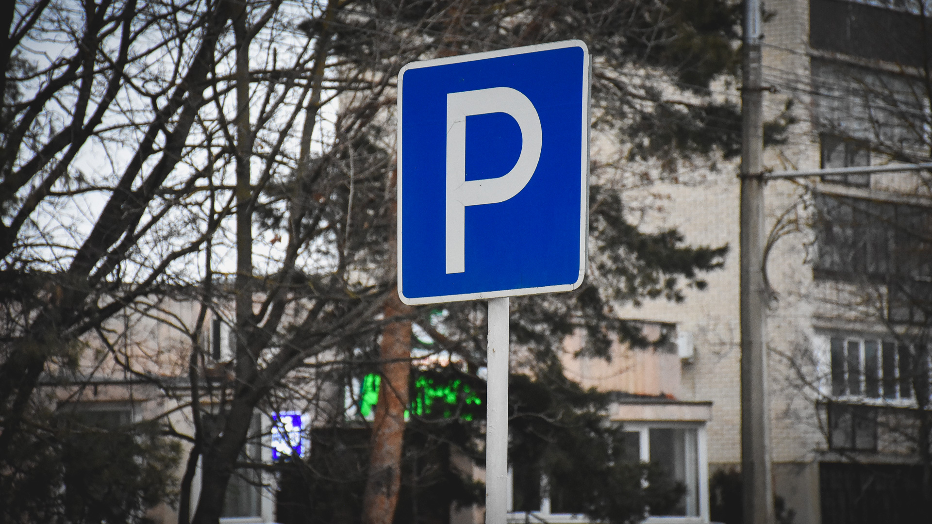 Стоимость парковки составляет 50 рублей в час