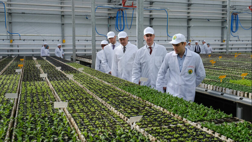 Министр сельского хозяйства РФ Дмитрий Патрушев побывал в тепличных комплексах группы компаний «Горкунов» 
