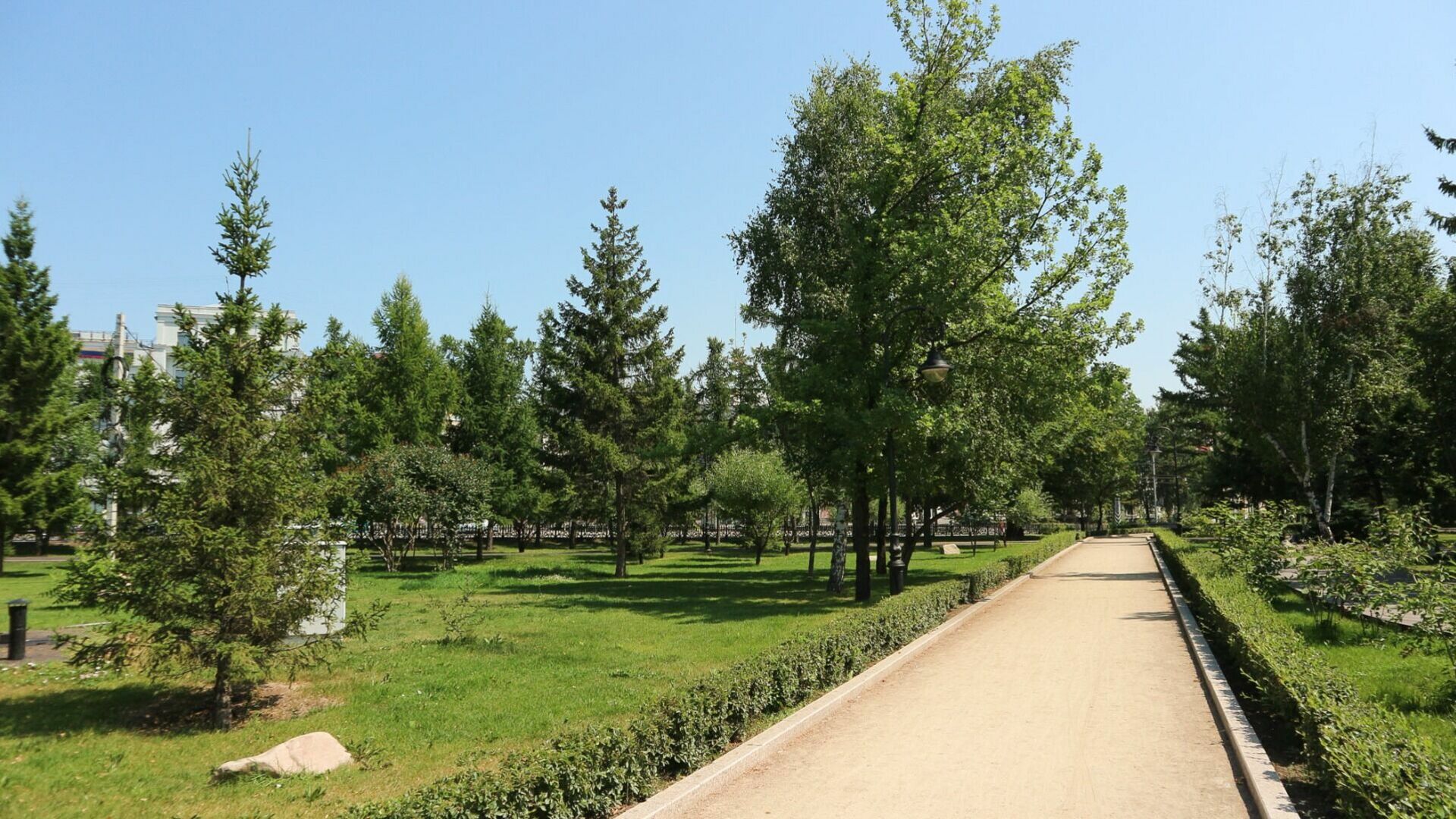 Новый парк площадью 13 гектаров появится в новосибирском Академгородке