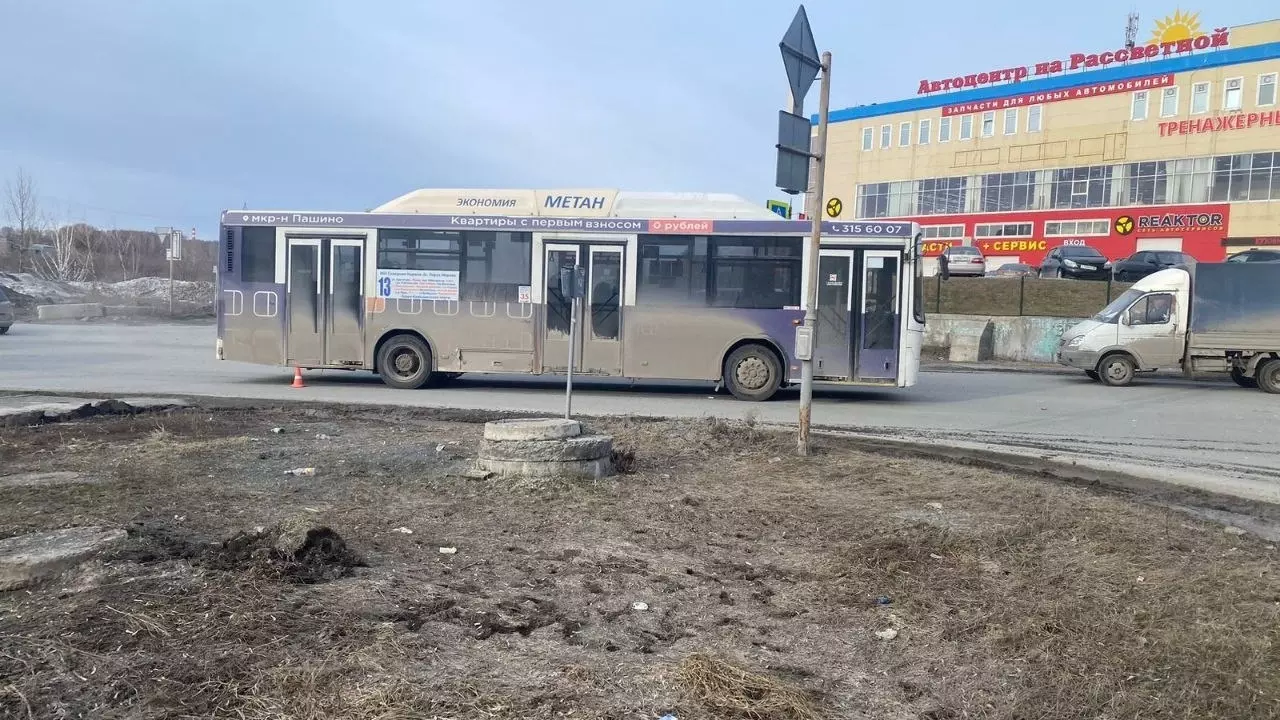 Автобус сбил пожилую женщину на пешеходном переходе в Новосибирске