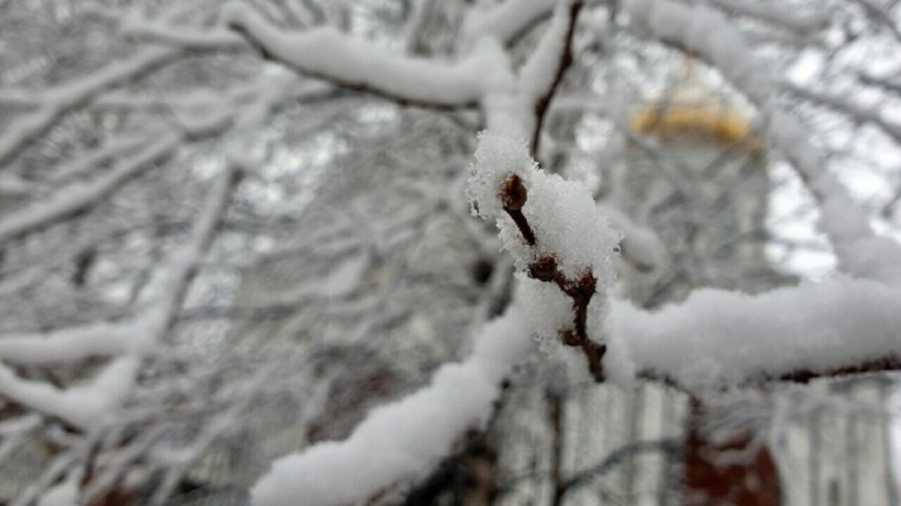 Резкое похолодание и осадки в виде мокрого снега накроют Новосибирск