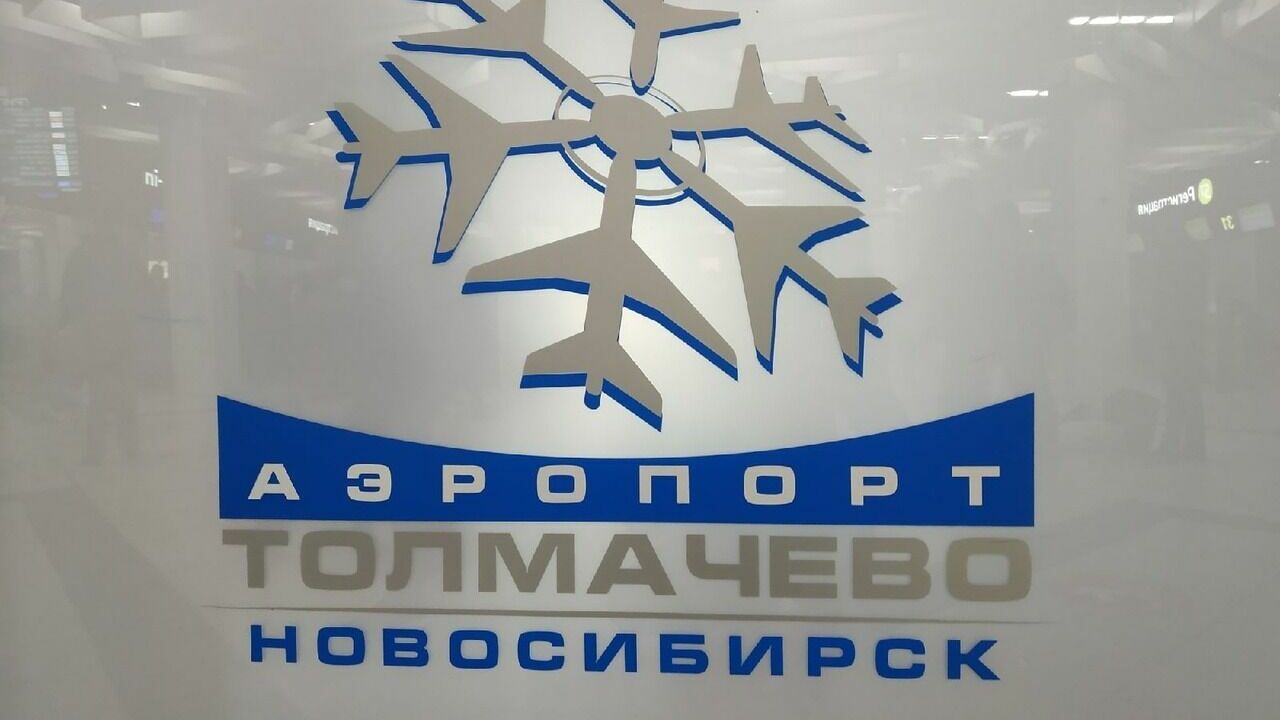 В Новосибирске задержали рейсы - вылет ждут 196 человек