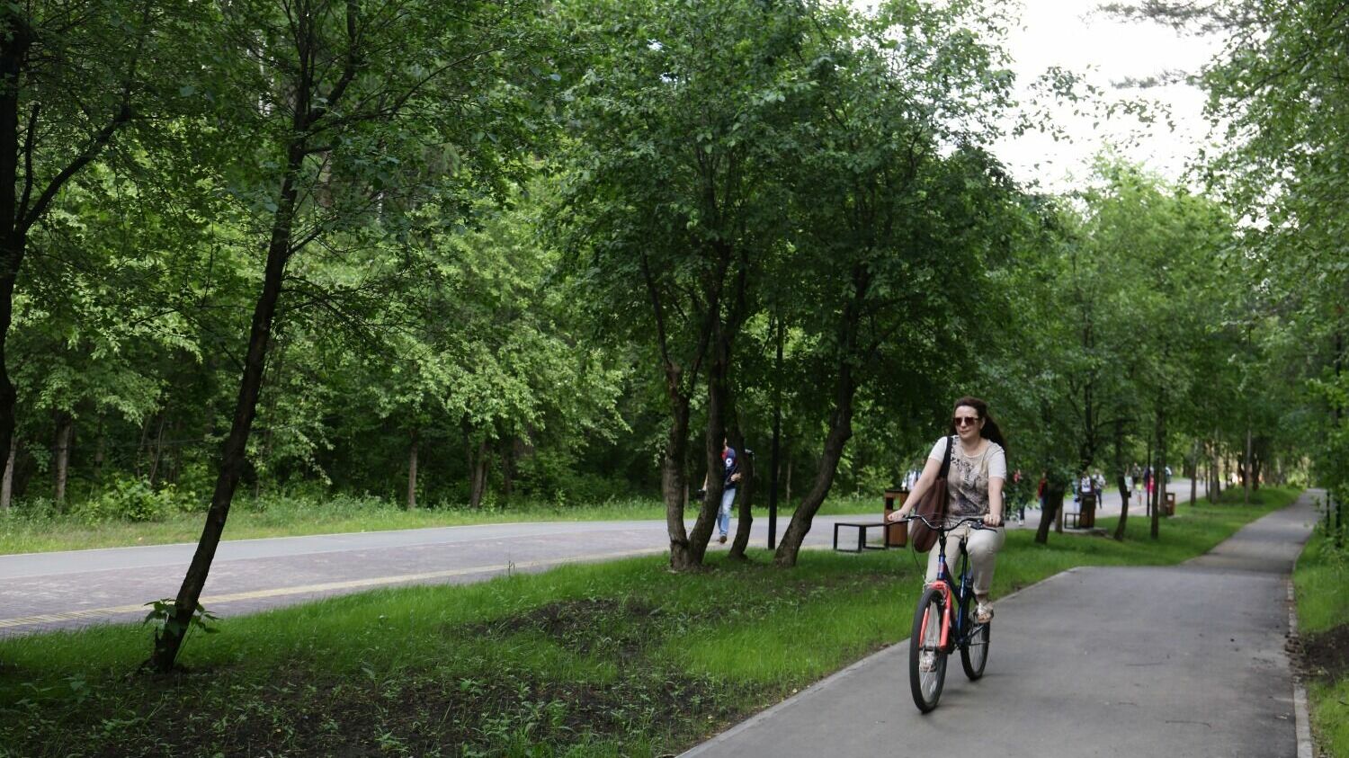 Заельцовский парк в Новосибирске - любимое место у жителей Заельцовского района.