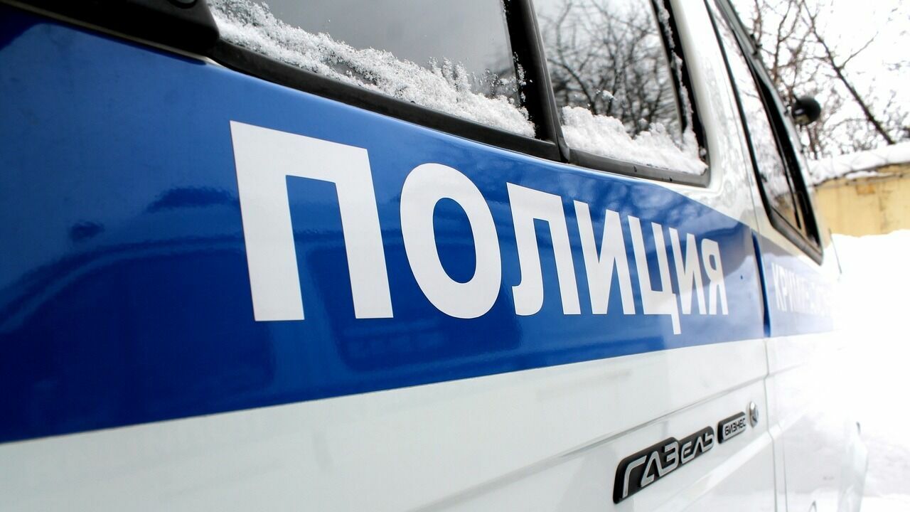 В Новосибирске поймали более 400 подростков, затевающих драки в ТЦ