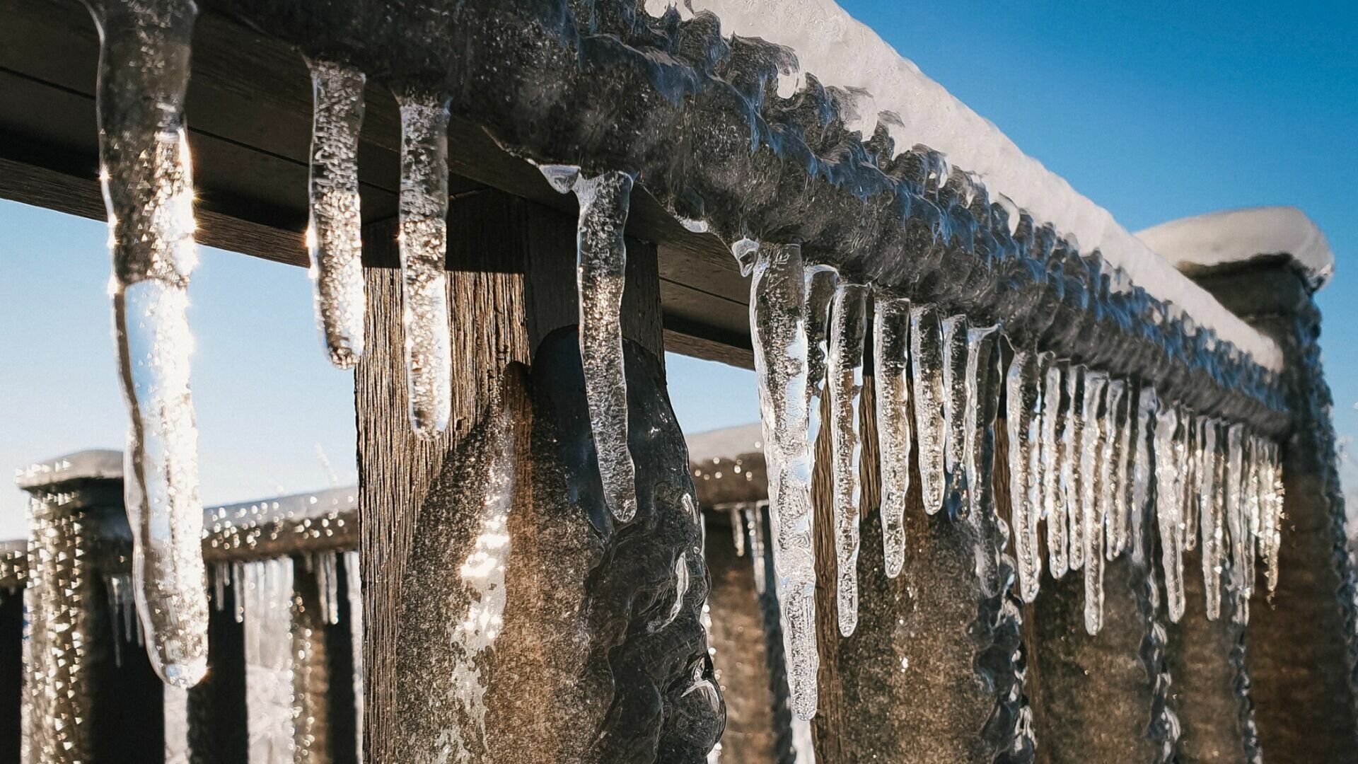 Нехарактерное для зимы тепло быстро сменят лютые морозы