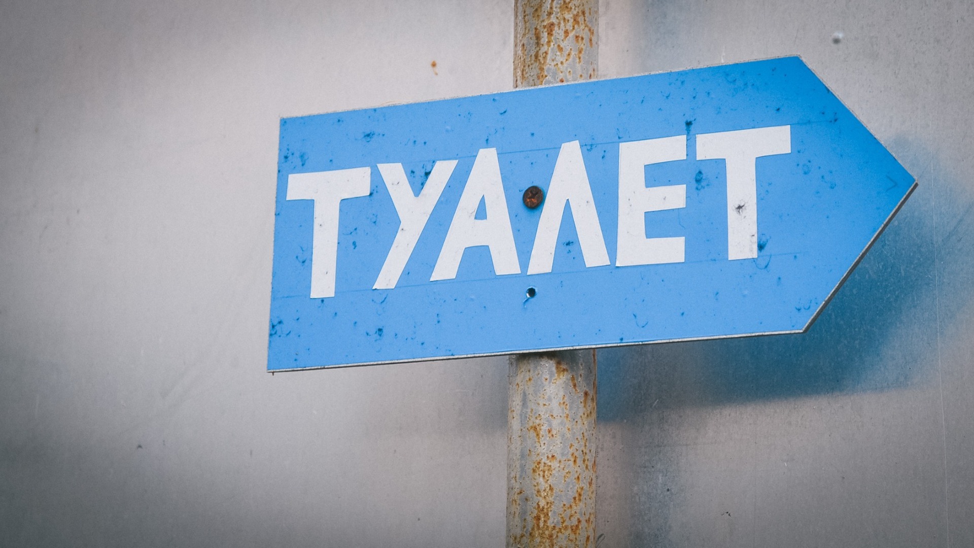 Серые антивандальные туалеты разработали для скверов Новосибирска