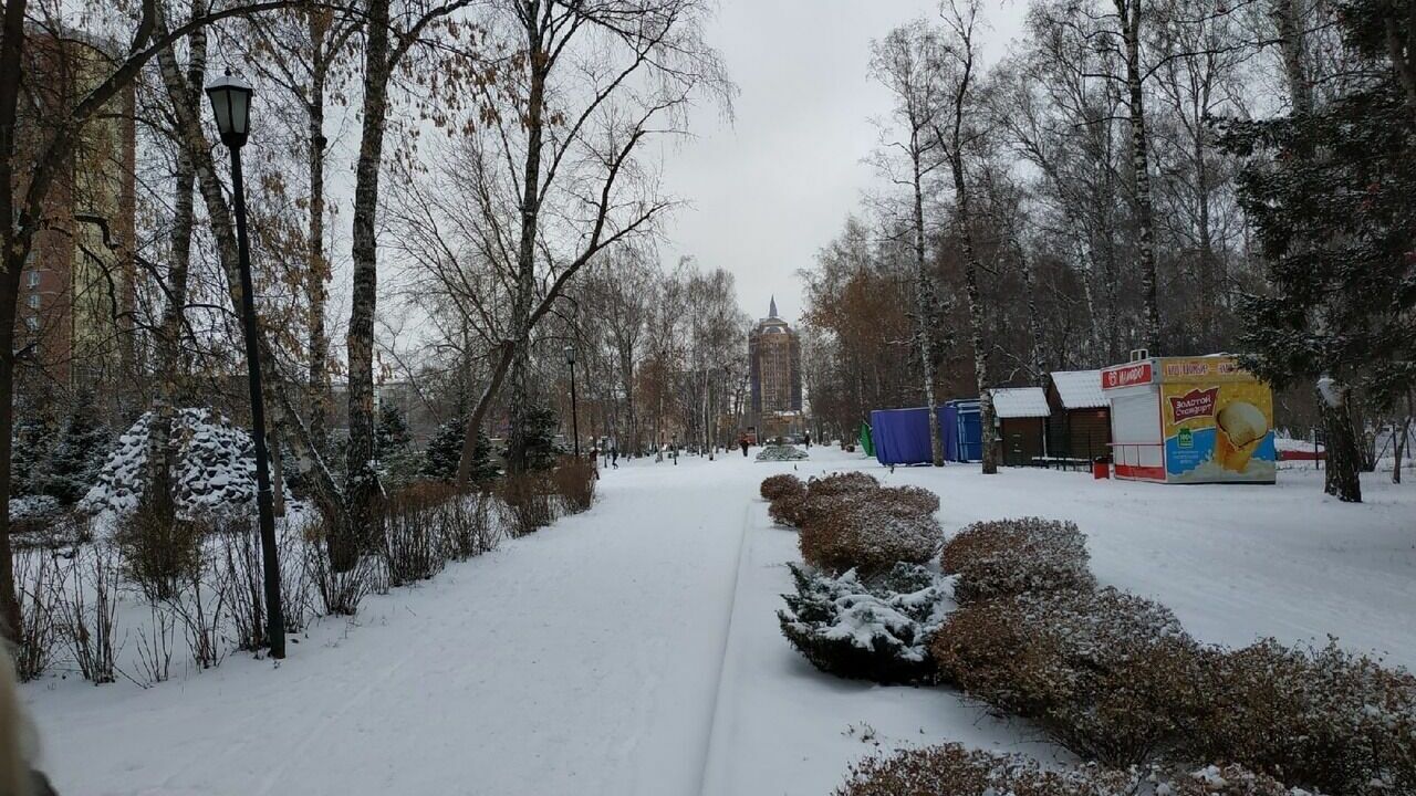 Постоянный снег выпал в Новосибирске 11 ноября 2022 года