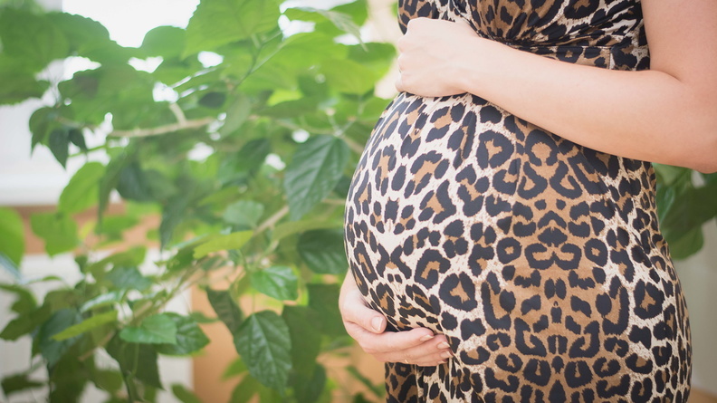 Генетические анализы во время беременности в Новосибирске - сдать НИПТ