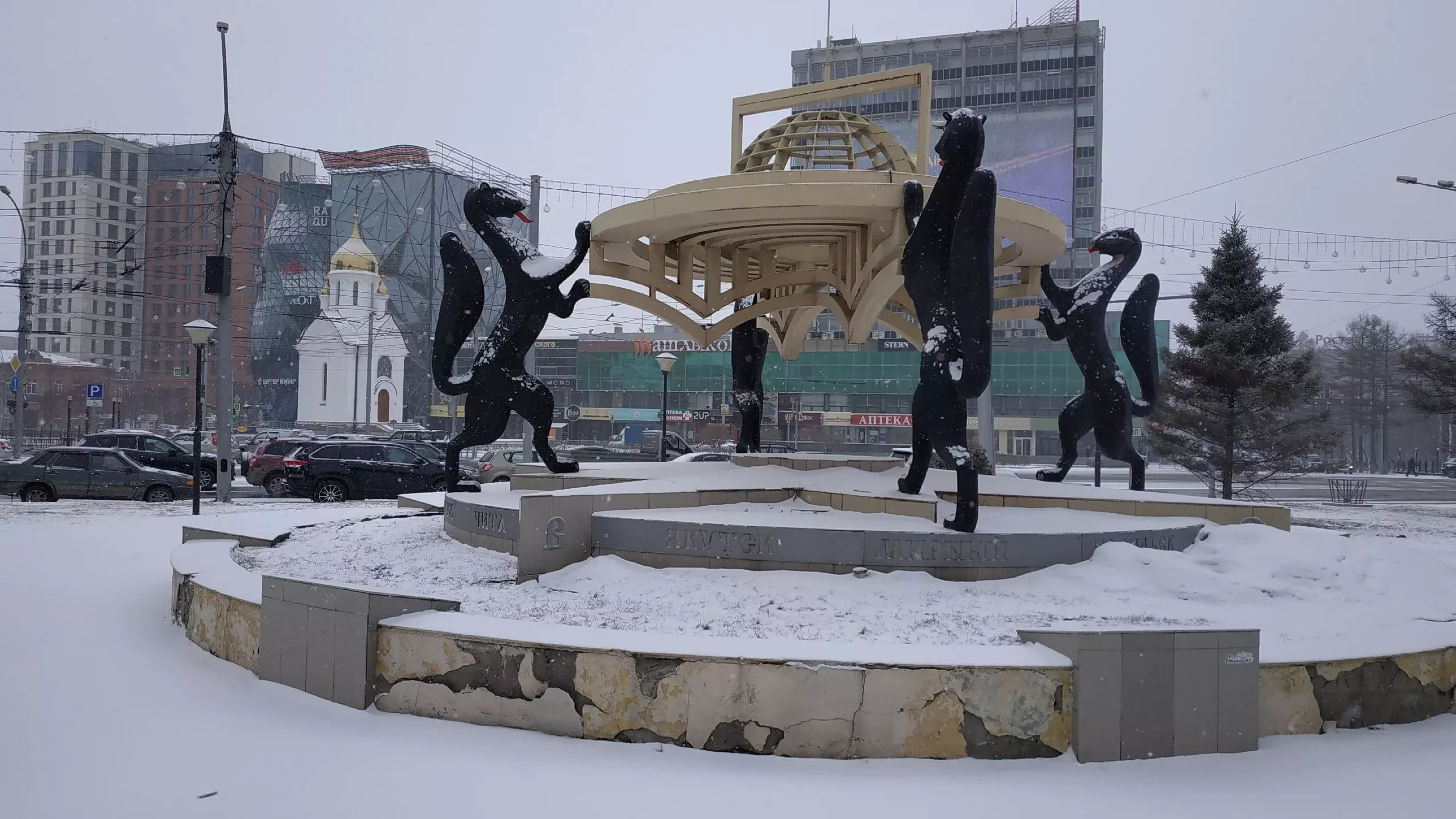 В Томске выпал снег