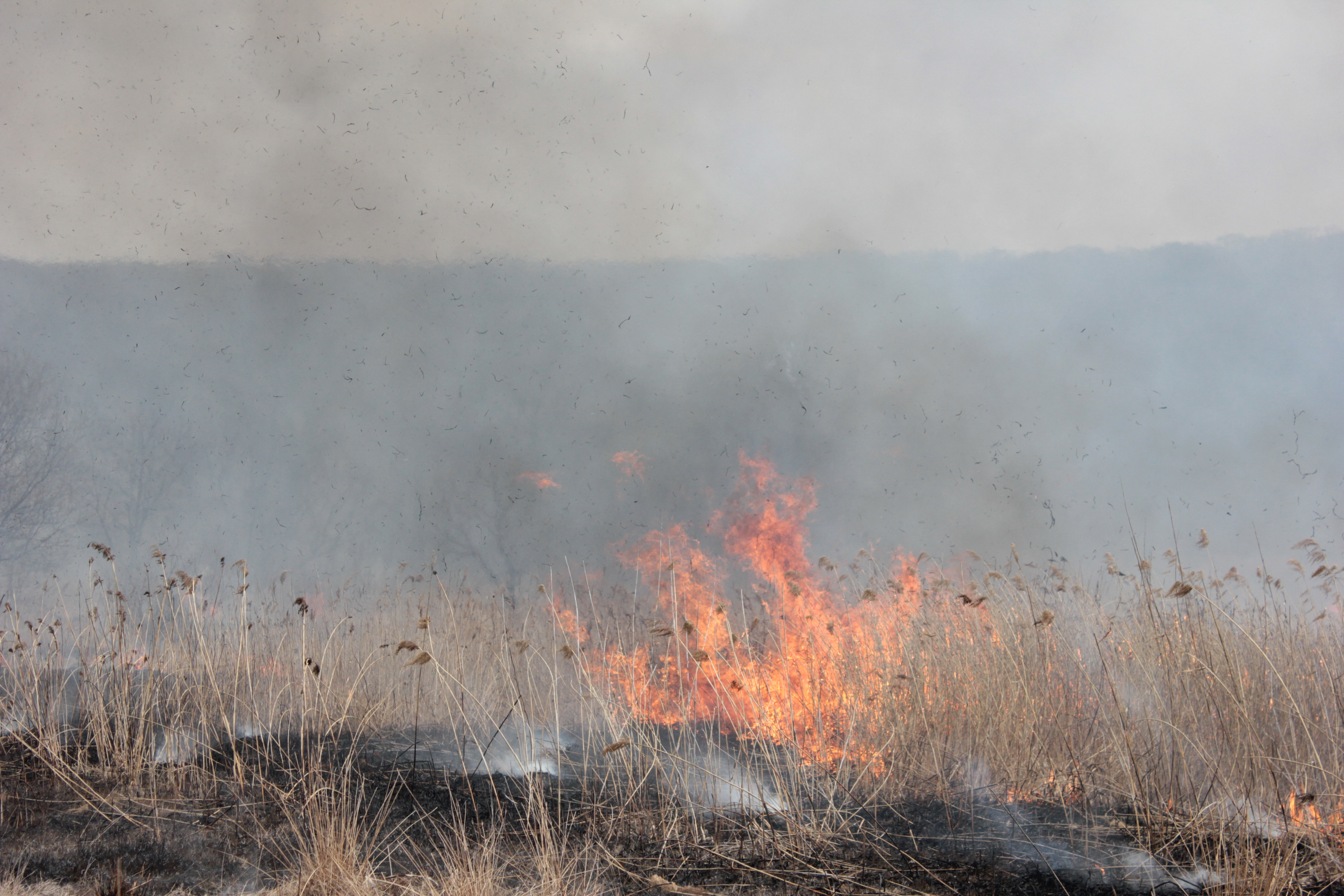 Новосибирские десантники уехали тушить катастрофические лесные пожары в ХМАО