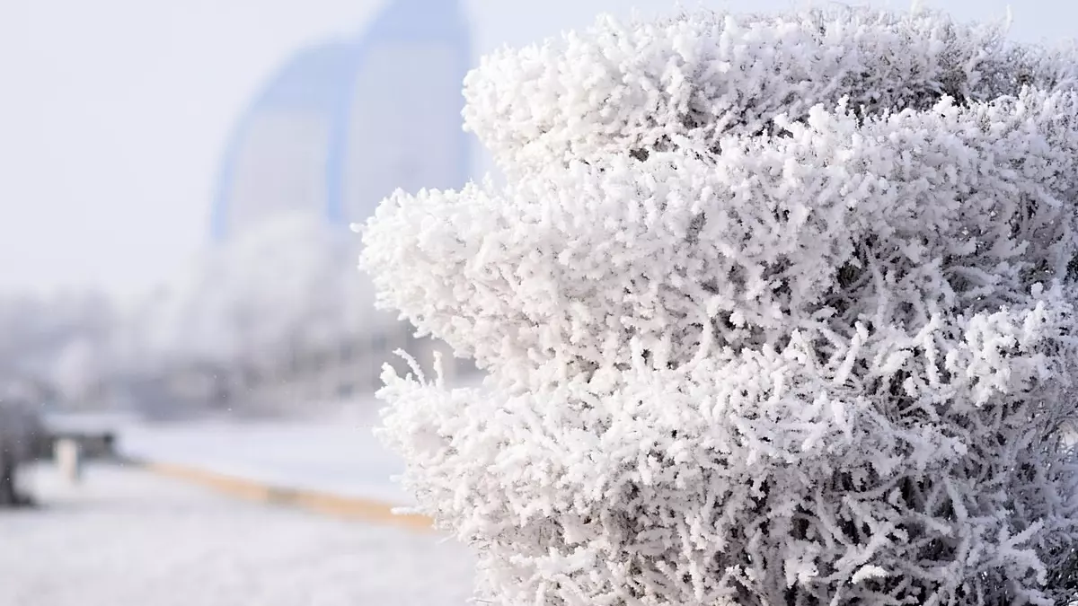 Аномальные морозы в Новосибирске продержатся до следующей недели