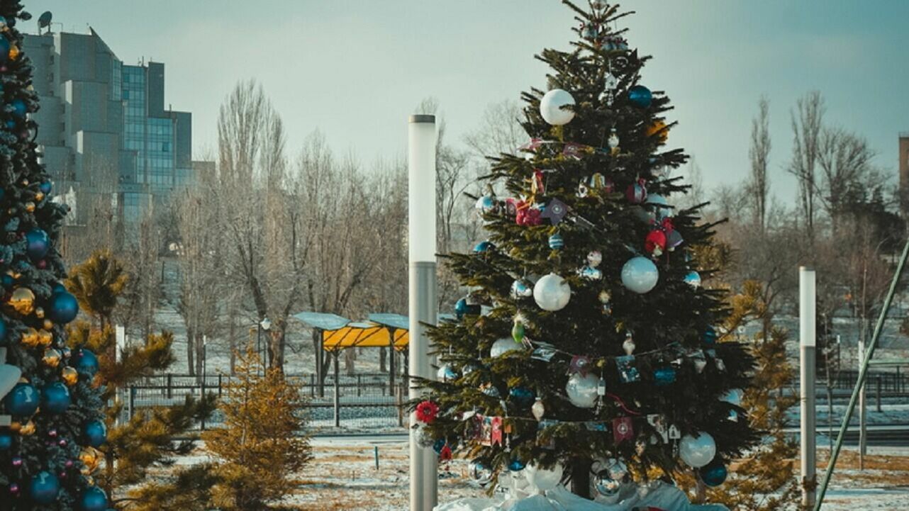Елочные базары начнут работу с 1 декабря в Новосибирске