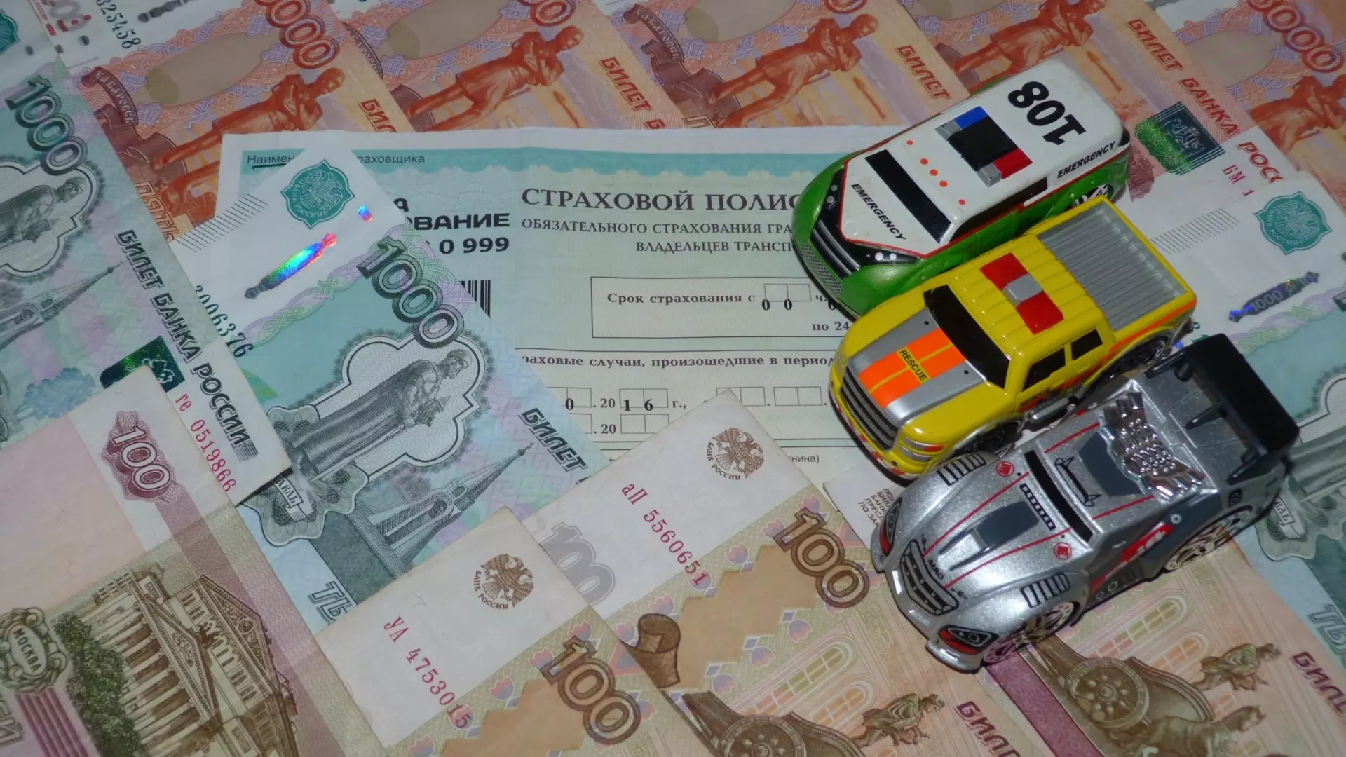 В Новосибирской области фиксируют высокие риски мошенничества в сфере ОСАГО