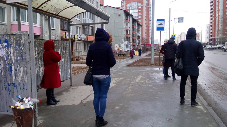 В Новосибирске установят 210 новых умных остановок