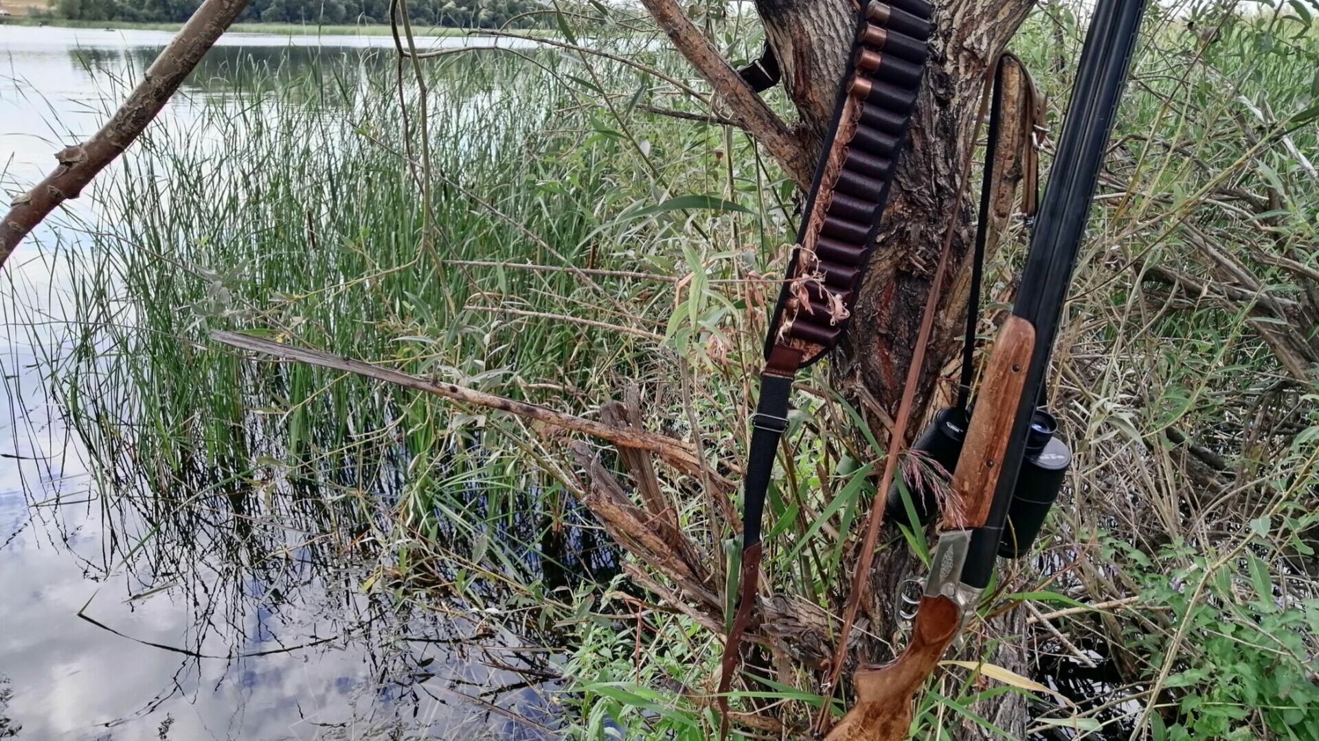 В Новосибирской области браконьеры застрелили косулю